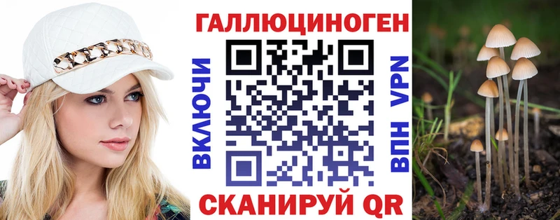 Галлюциногенные грибы MAGIC MUSHROOMS  Купить  Новосиль 